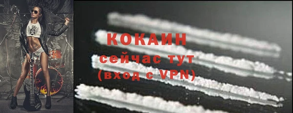 ГАЛЛЮЦИНОГЕННЫЕ ГРИБЫ Богданович