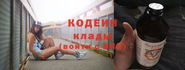 ГАЛЛЮЦИНОГЕННЫЕ ГРИБЫ Богданович