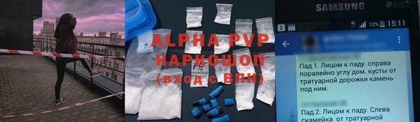 ГАЛЛЮЦИНОГЕННЫЕ ГРИБЫ Богданович