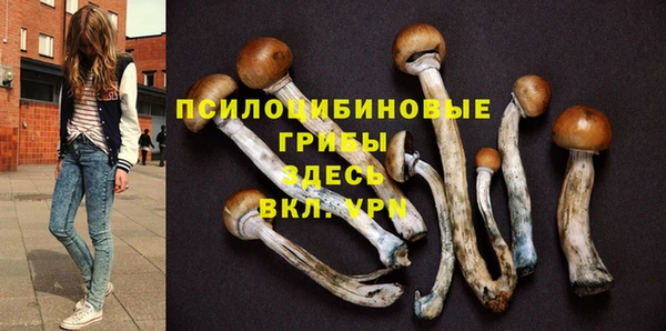 кокаин Богородицк