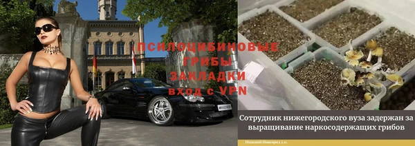 кокаин Богородицк