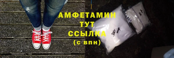 ГАЛЛЮЦИНОГЕННЫЕ ГРИБЫ Богданович