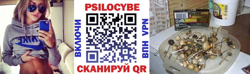 мега зеркало  купить наркотики цена  Кондрово  Псилоцибиновые грибы Psilocybe 
